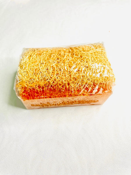 Loofah Bar Soap with Glycerin | Milk & Honey | 100% Handmade | 120 grams